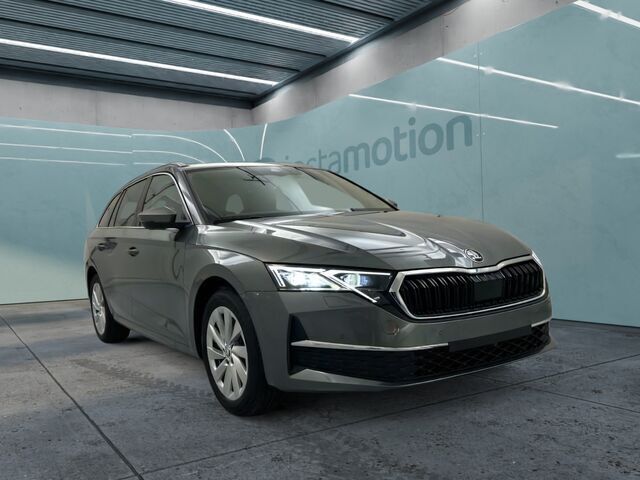 Grau Gebraucht 2024 Skoda Octavia Selection Kombi | 30.791 € (Fairer Preis) - Bild 1/2