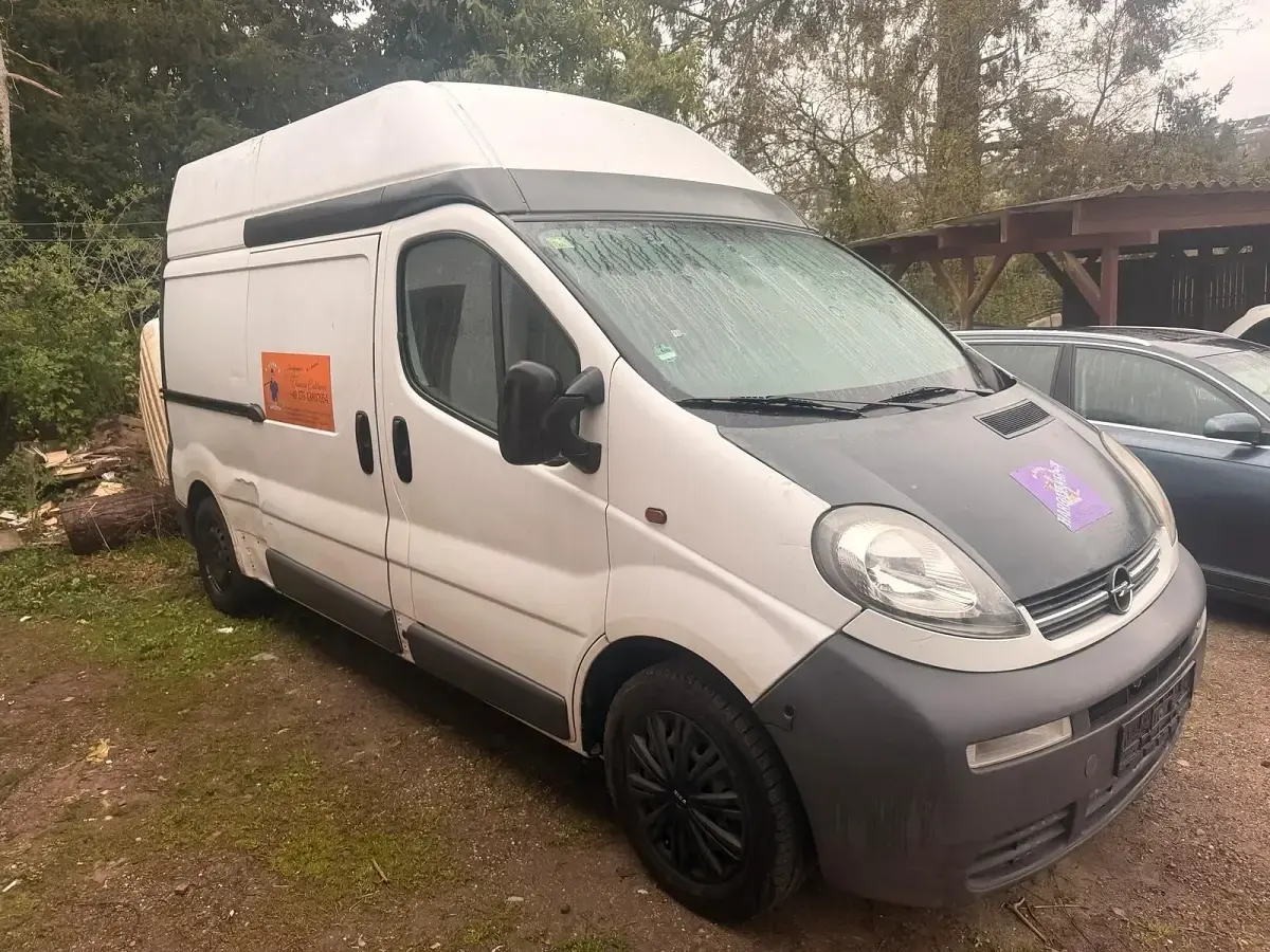 Gebraucht Opel Vivaro 2006 Weiß Van / Kleinbus