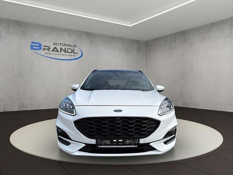 Gebraucht Ford Kuga ST-Line X 224 PS (164 kW) 2021 Weiß SUV