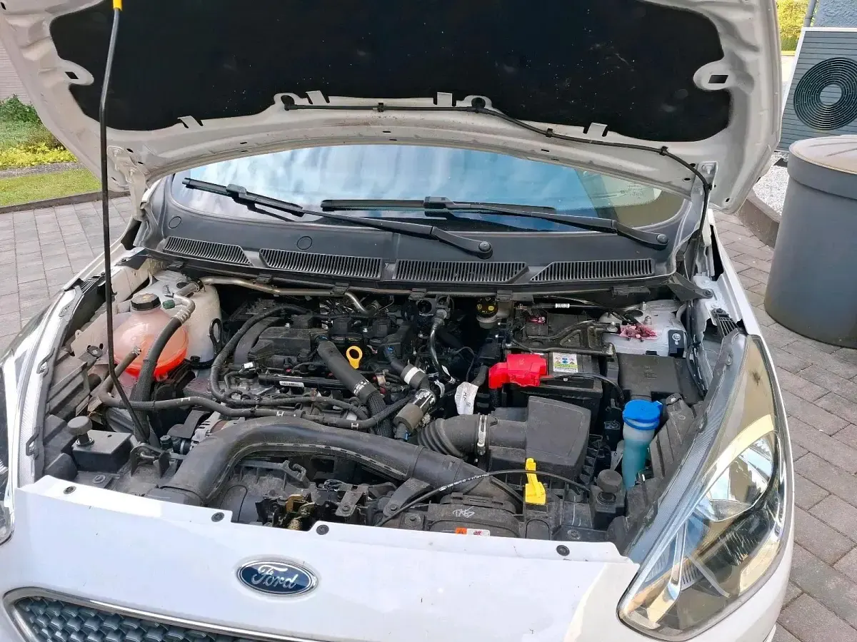 Usata Ford Ka Plus 86 CV (63 kW) 2019 Bianco Utilitaria