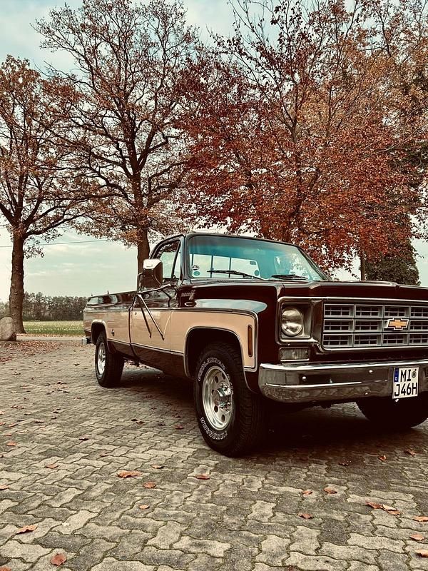 Braun Gebraucht 1978 Chevrolet C20 SUV | 22.999 € - Bild 1/4