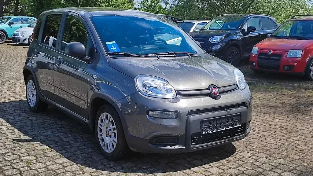 Gebraucht Fiat Panda 69 PS (50 kW) 2023 Grau Kleinwagen