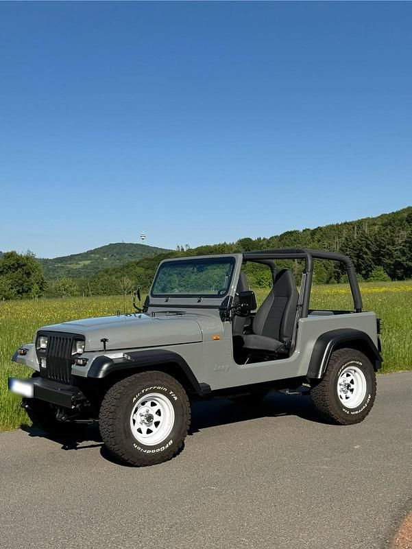 Gebraucht Jeep Wrangler 178 PS (130 kW) 1994 Grau SUV