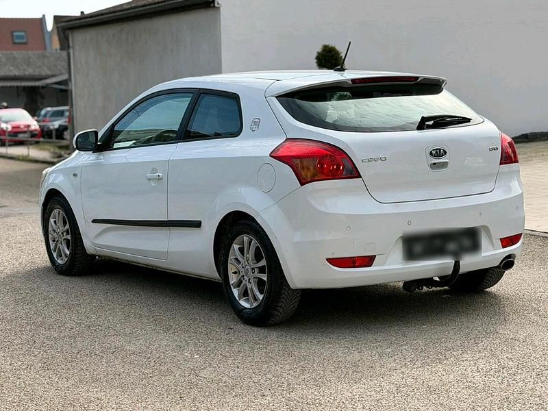 Gebraucht Kia Ceed 116 PS (85 kW) 2012 Weiß Kleinwagen