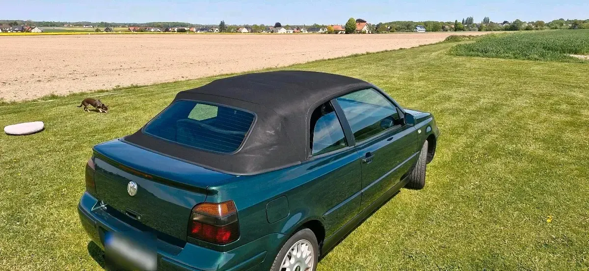 Gebraucht VW Golf Cabriolet 75 PS (55 kW) 1998 Grün Cabrio