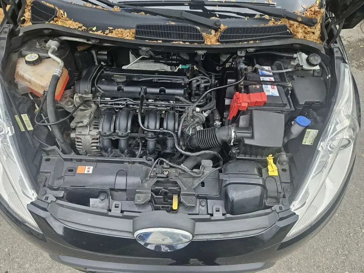 Gebraucht Ford Fiesta Titanium 82 PS (60 kW) 2010 Limousine