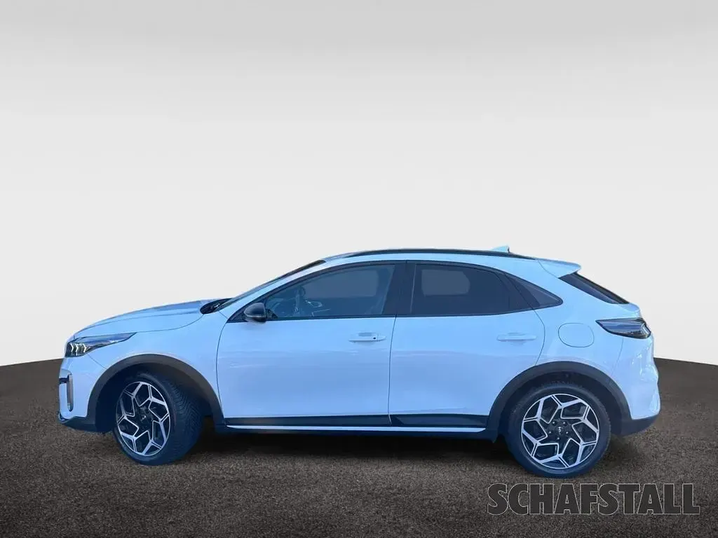 Gebraucht Kia XCeed GT-Line 140 PS (102 kW) 2025 Weiss ((hw2) deluxeweiss met.) SUV