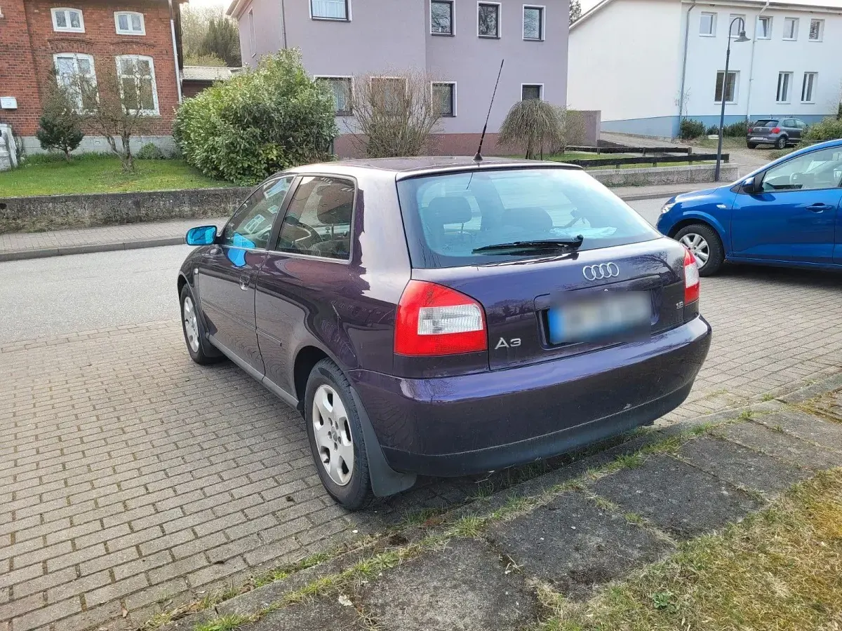 Gebraucht Audi A3 Ambition 125 PS (91 kW) 2001 Violett Kleinwagen