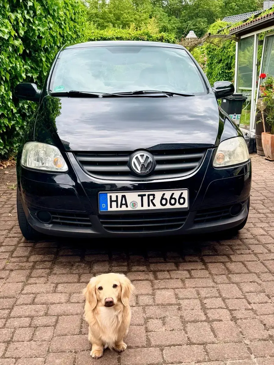 Gebraucht VW Fox 54 PS (39 kW) 2006 Schwarz Kleinwagen