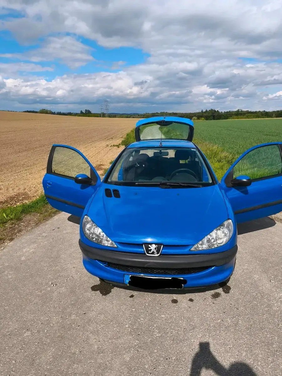Gebraucht Peugeot 206 60 PS (44 kW) 2005 Blau Kleinwagen