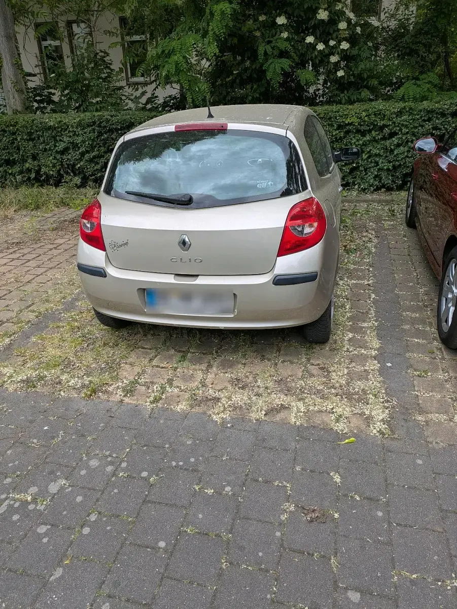 Gebraucht Renault Clio 75 PS (55 kW) 2007 Beige Kleinwagen