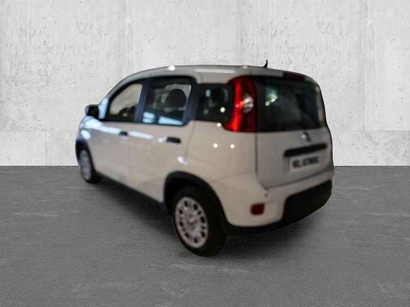 Neu Fiat Panda 69 PS (50 kW) 2025 Weiß Kleinwagen