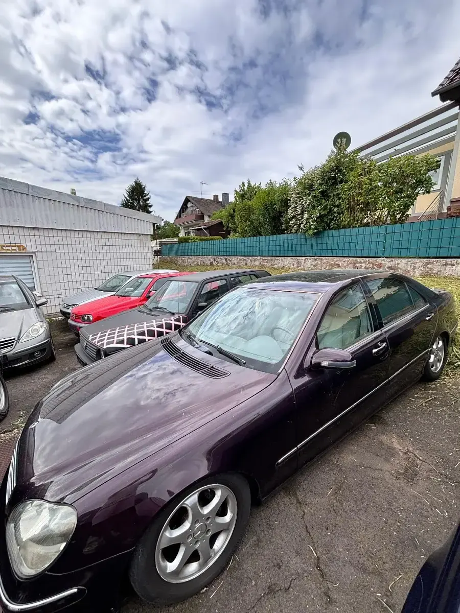 Gebraucht Mercedes S320 200 PS (147 kW) 2001 Violet Limousine