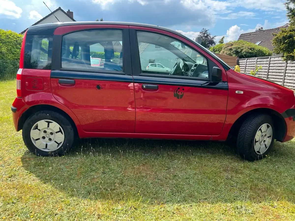 Gebraucht Fiat Panda 55 PS (40 kW) 2009 Rot Kleinwagen