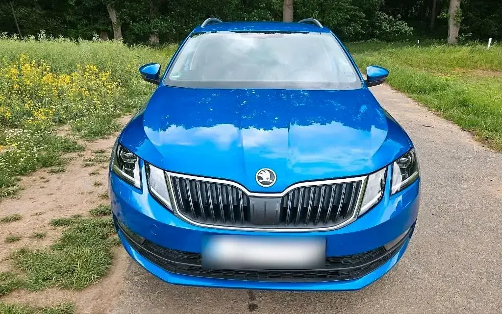 Gebraucht Skoda Octavia 180 PS (132 kW) 2018 Blau Kombi