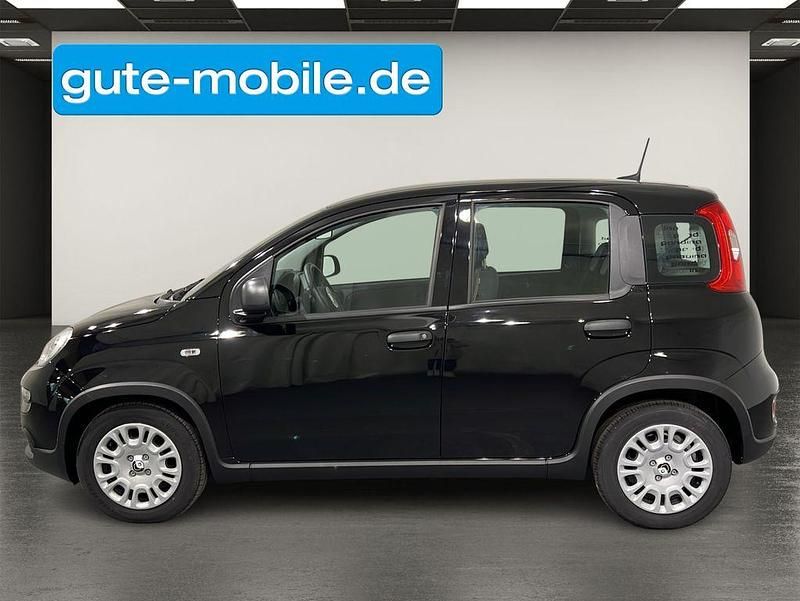 Bild 3/4