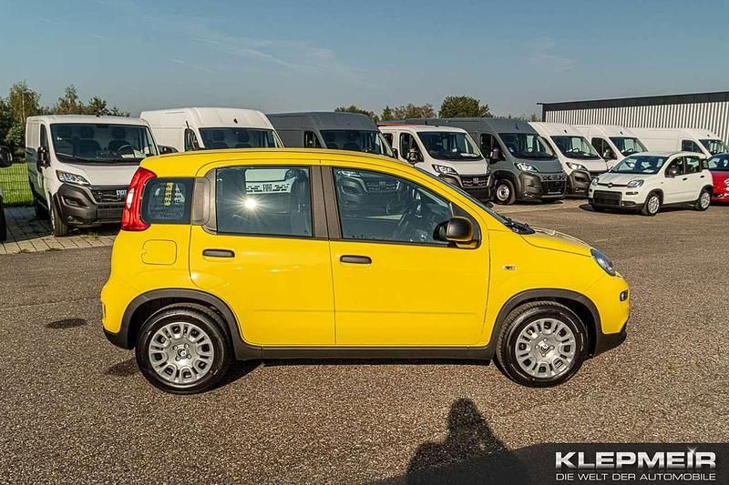 Gebraucht Fiat Panda 69 PS (50 kW) 2024 Gelb Kleinwagen