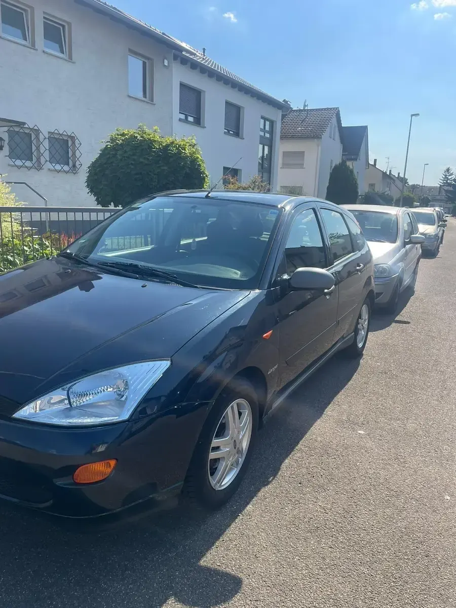 Usata Ford Focus 80 CV (58 kW) 2002 Marrone Utilitaria