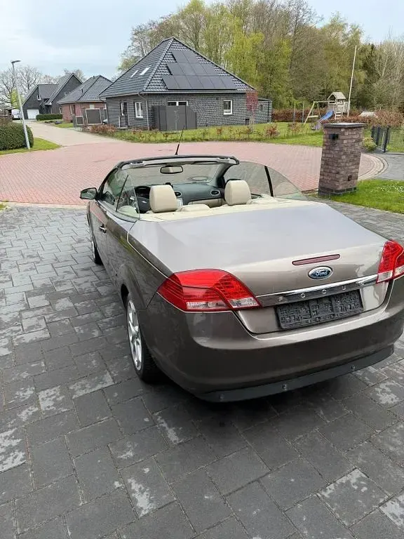 Gebraucht Ford Focus Cabriolet Titanium 145 PS (106 kW) 2009 Braun Cabrio