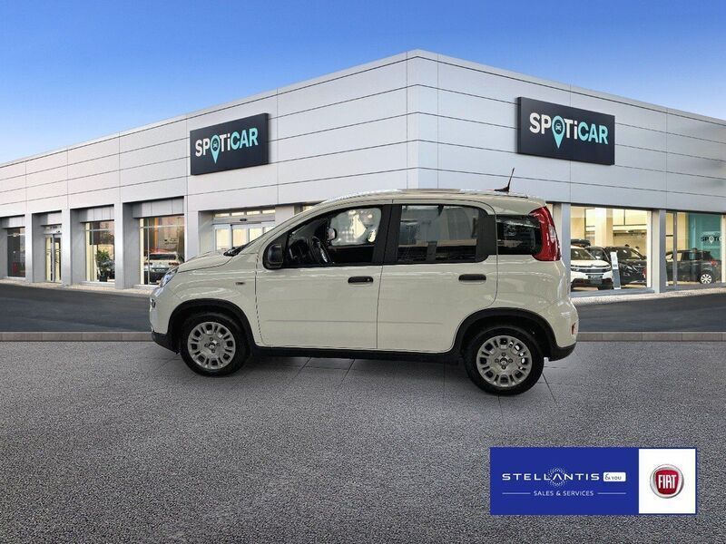 Neu Fiat Panda Cross Cross 69 PS (50 kW) 2025 Weiß Kleinwagen