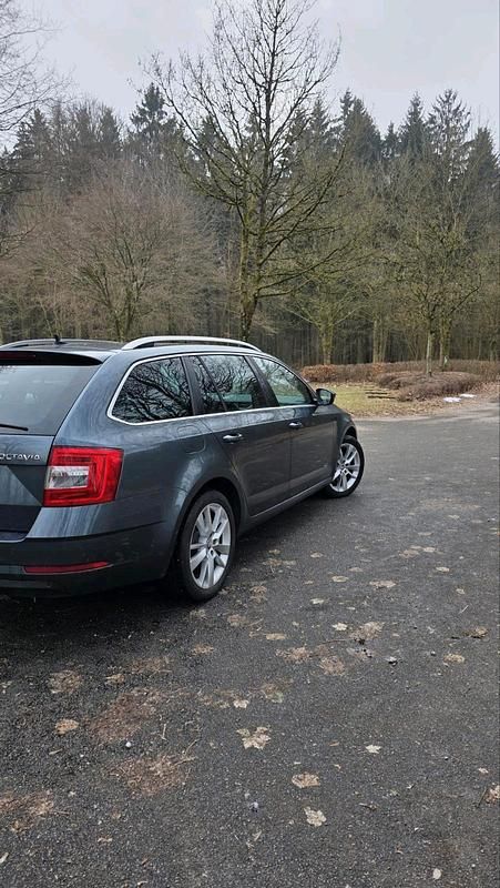 Gebraucht Skoda Octavia 150 PS (110 kW) 2017 Grau Kombi