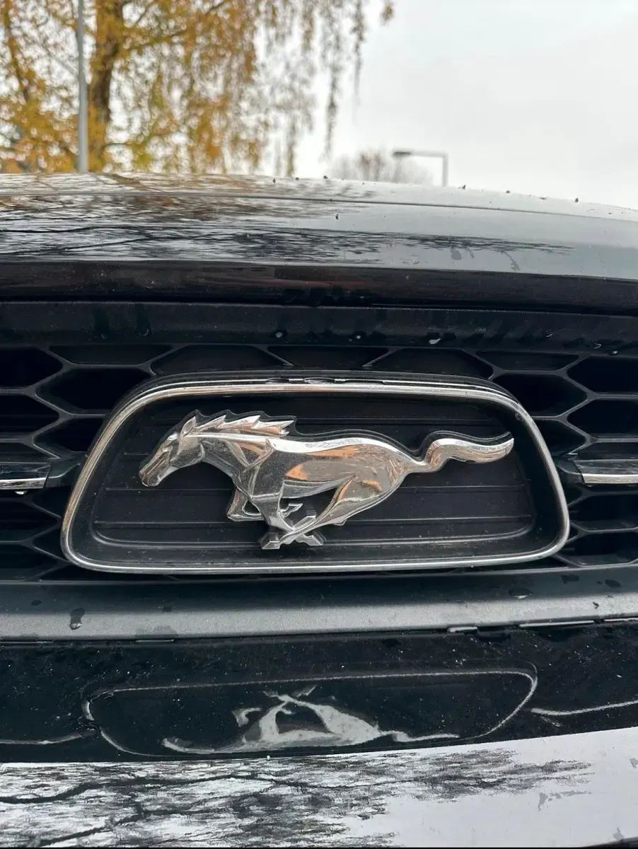 Gebraucht Ford Mustang 307 PS (225 kW) 2014 Schwarz Limousine