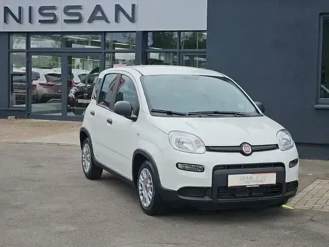 Gebraucht Fiat Panda 69 PS (50 kW) 2024 Weiss Kleinwagen