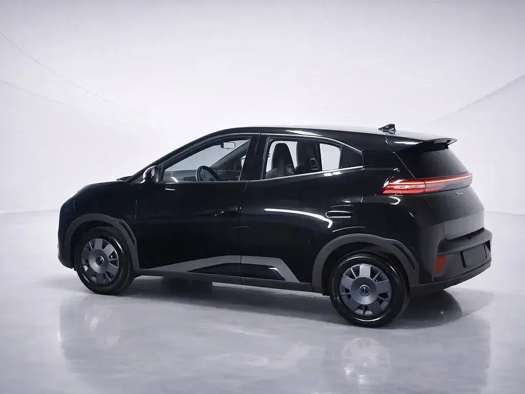 Neu BYD Dolphin Surf Active 64 kW (88 PS) 2025 Schwarz Kleinwagen