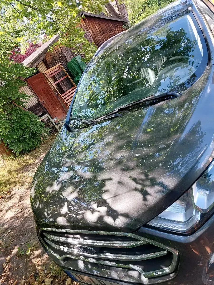 Gebraucht Ford Ecosport Titanium 125 PS (91 kW) 2019 Grau SUV