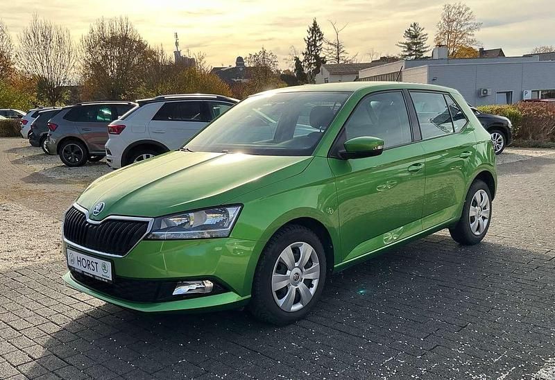 Grün Gebraucht 2020 Skoda Fabia Active Kleinwagen | 11.450 € (Guter Preis) - Bild 1/4
