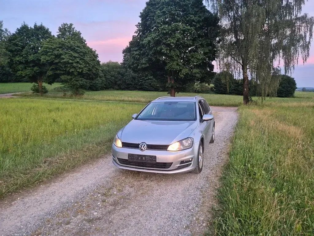 Gebraucht VW Golf VII Allstar 150 PS (110 kW) 2017 Silber Kombi