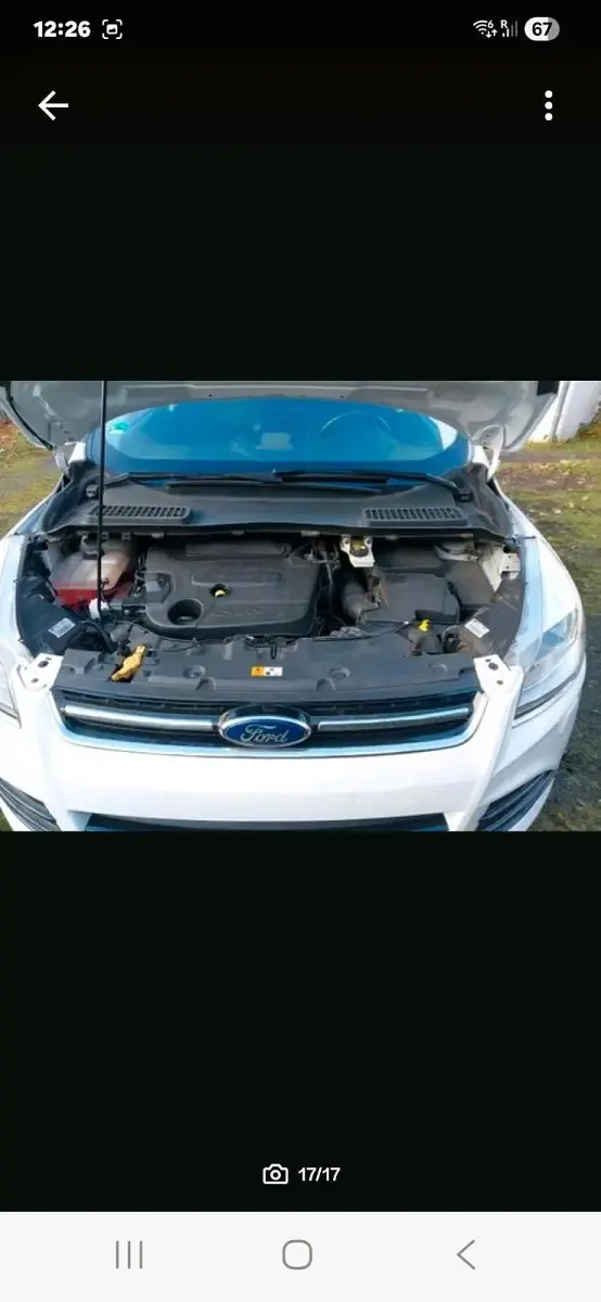 Gebraucht Ford Kuga 140 PS (102 kW) 2014 Weiß SUV