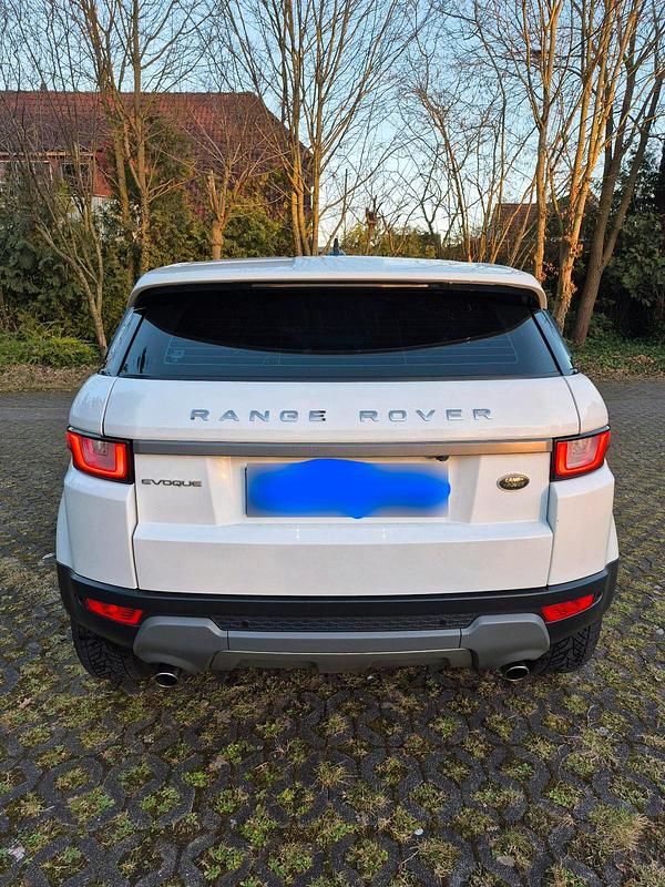 Gebraucht Land Rover Range Rover evoque 150 PS (110 kW) 2016 Weiß SUV