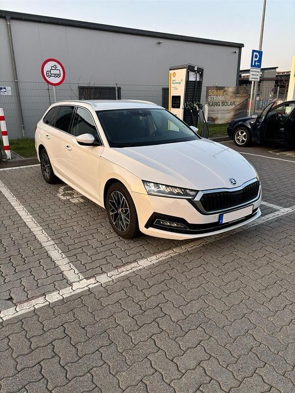 Gebraucht Skoda Octavia 150 PS (110 kW) 2022 Weiß Kombi