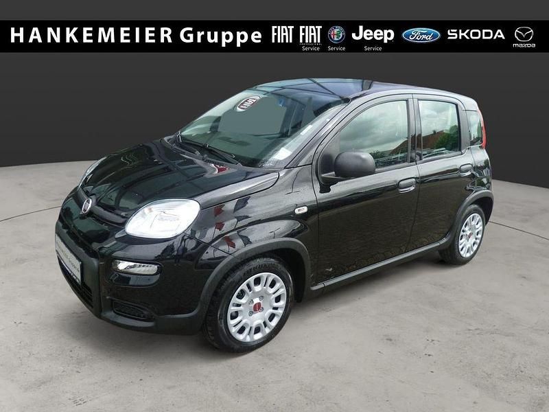 Schwarz Neu 2024 Fiat Panda Kleinwagen | 13.750 € (Guter Preis) - Bild 1/4