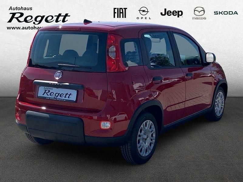 Gebraucht Fiat Panda 69 PS (50 kW) 2024 Weiss) (weiss Kleinwagen