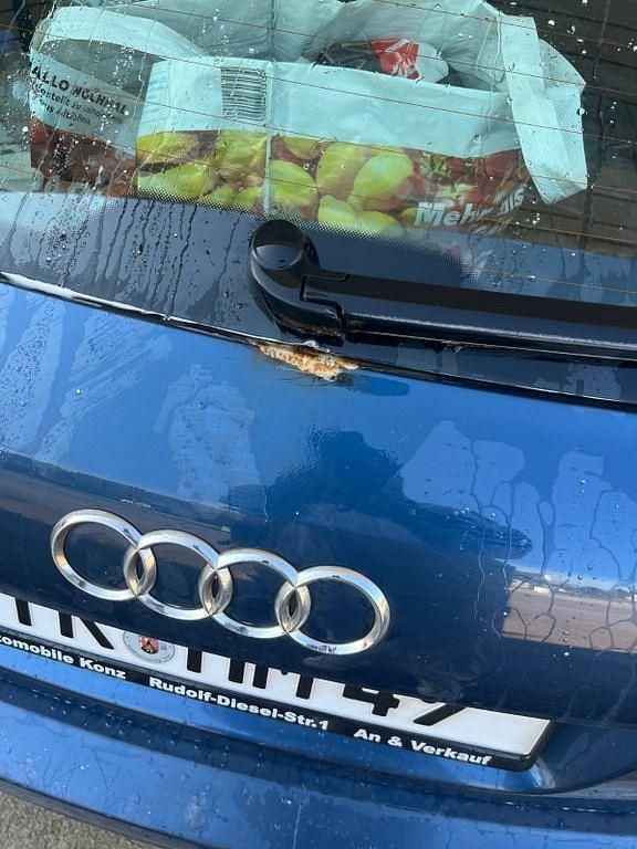 Gebraucht Audi A6 S-Line 177 PS (130 kW) 2008 Blau Kombi