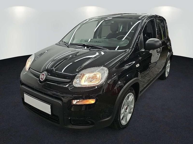 Gebraucht Fiat Panda 69 PS (50 kW) 2024 Colore esterno (cinema schwarz Limousine