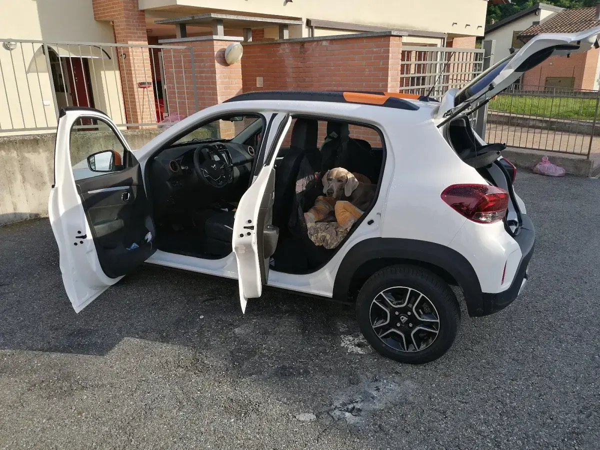 Gebraucht Dacia Spring Comfort Plus 33 kW (45 PS) 2022 Weiß Kleinwagen