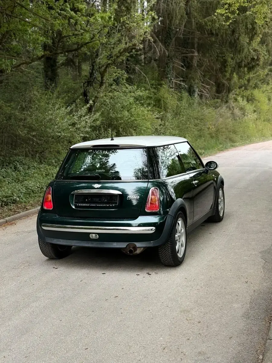 Käytetty Mini Cooper 116 HP (85 kW) 2003 Vihreä Viistoperä