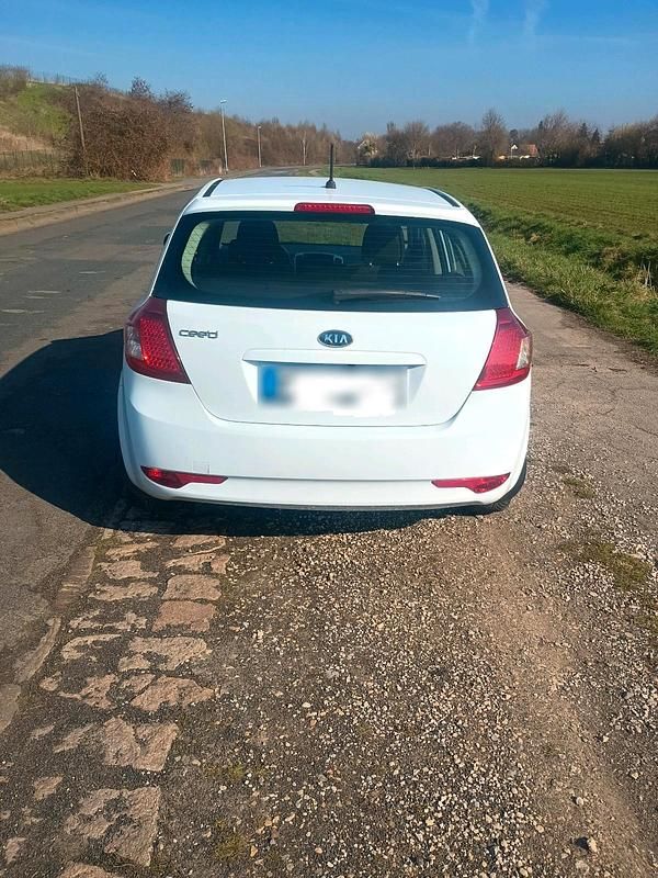 Gebraucht Kia Ceed 109 PS (80 kW) 2010 Weiß Kleinwagen