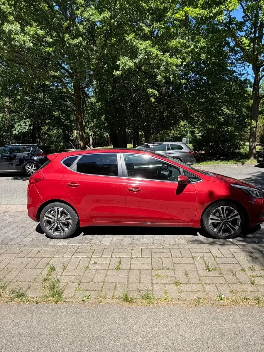 Używany Kia Ceed 135 KM (99 kW) 2014 Czerwony Hatchback