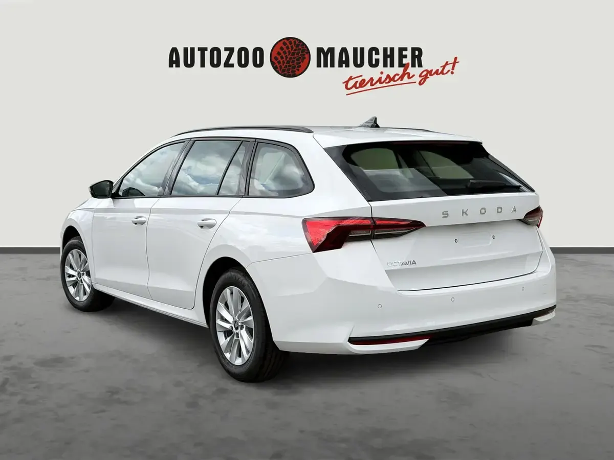 Neu Skoda Octavia Selection 150 PS (110 kW) 2026 Candyweiss Kombi
