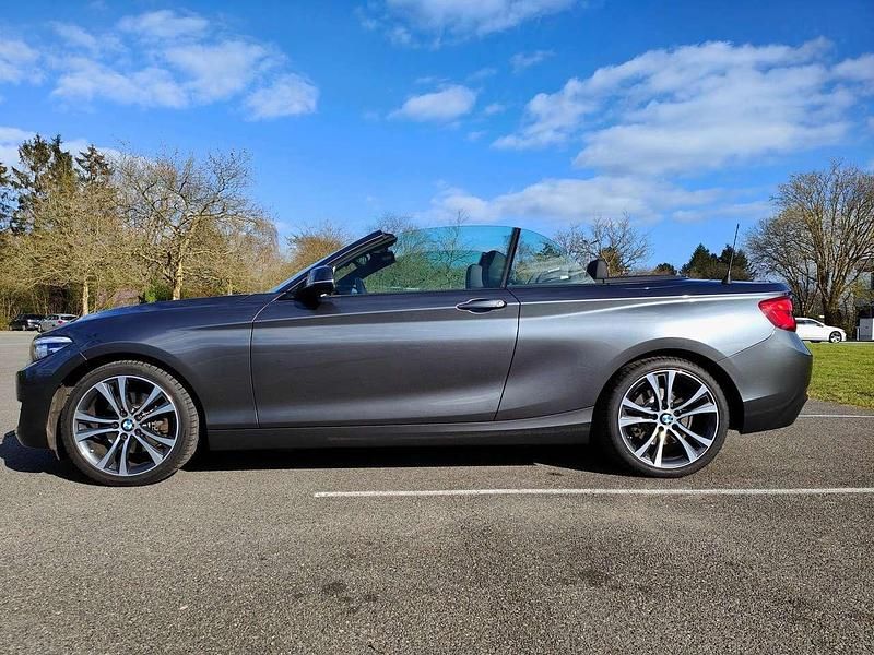 Gebraucht BMW 220 Advantage 190 PS (139 kW) 2019 Grau Cabrio