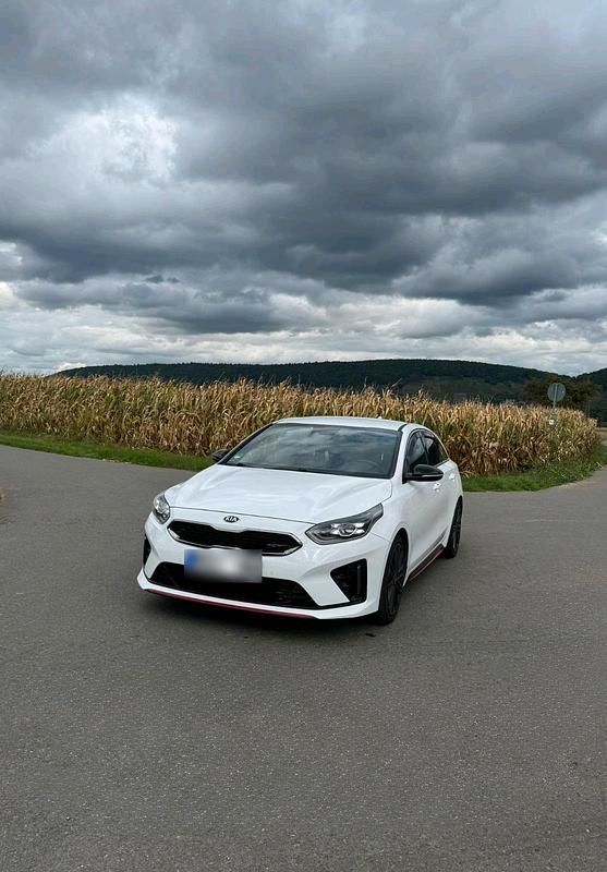 Gebraucht Kia ProCeed GT 204 PS (150 kW) 2019 Weiß Kombi