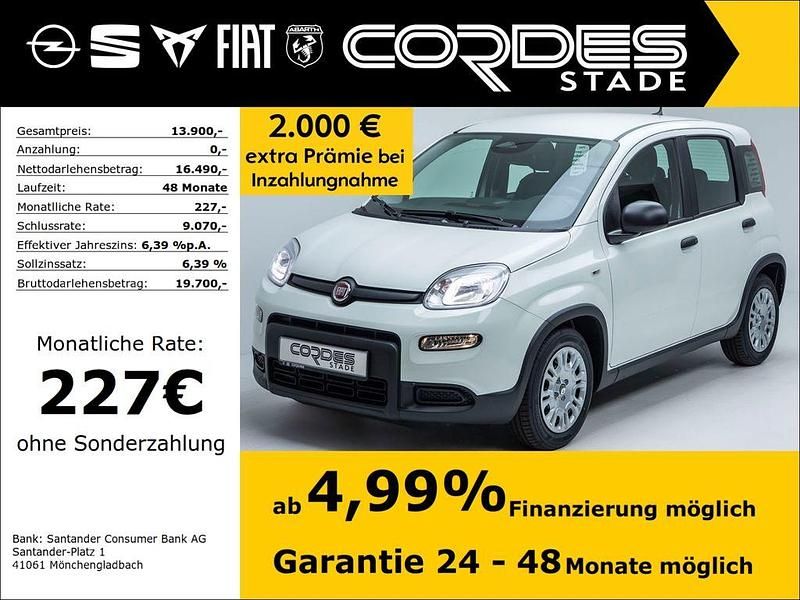 Colore esterno (weiss) Neu 2024 Fiat Panda Kleinwagen | 13.900 € (Fairer Preis) - Bild 1/4