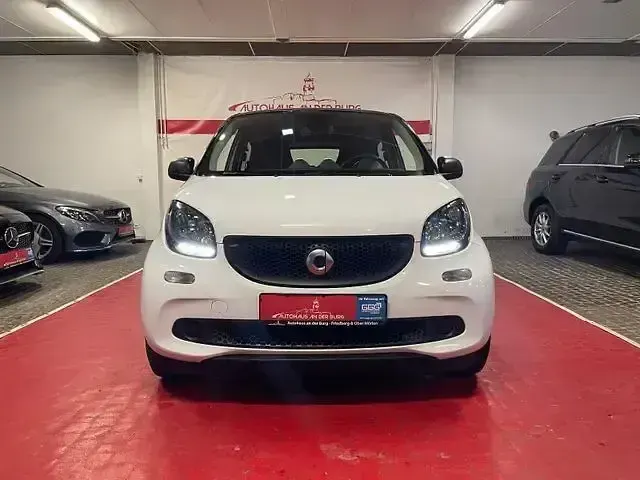Usata Smart ForFour 71 CV (52 kW) 2019 Bianco Utilitaria