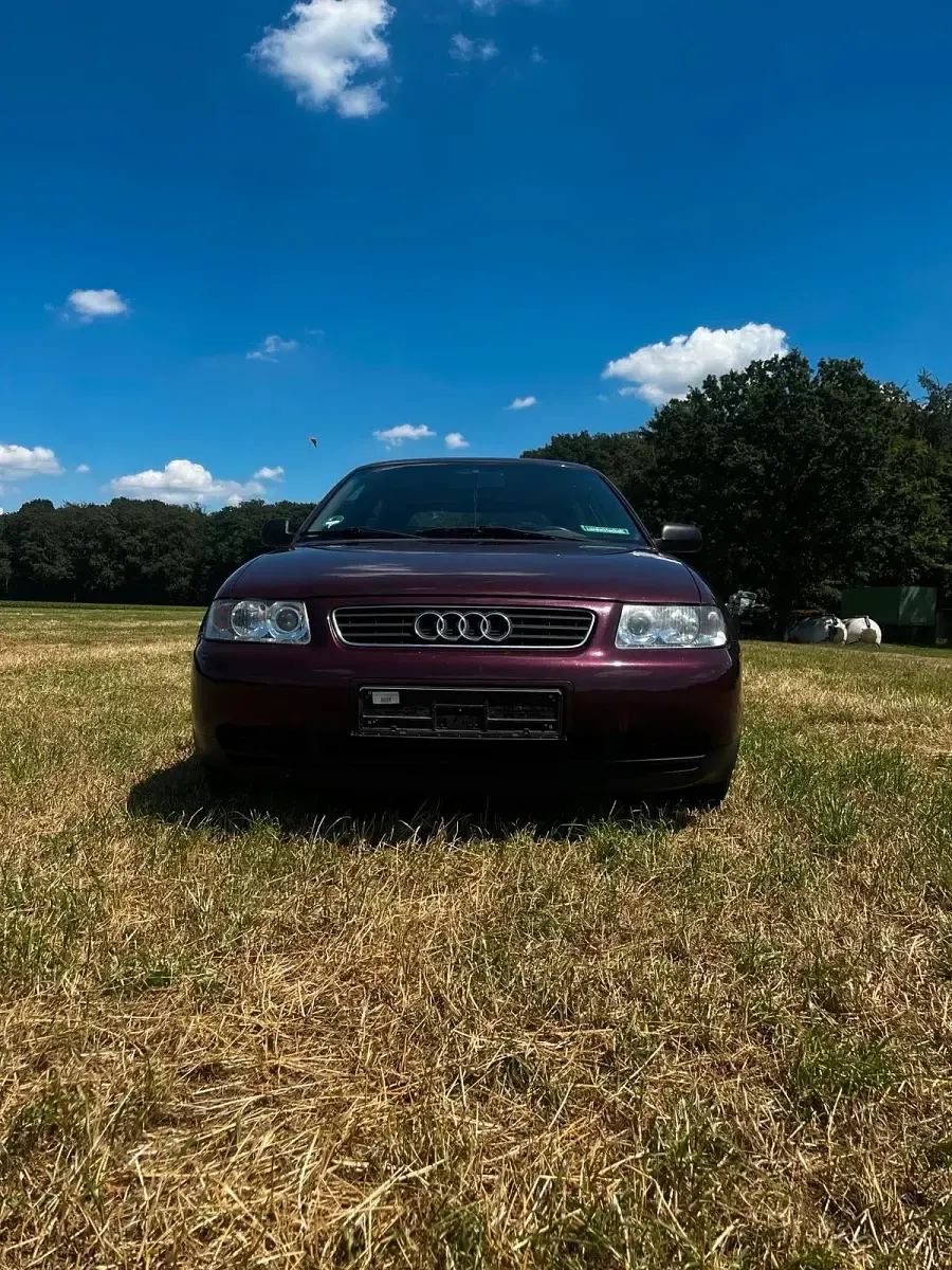 Gebraucht Audi A3 90 PS (66 kW) 1997 Andere farben Kleinwagen