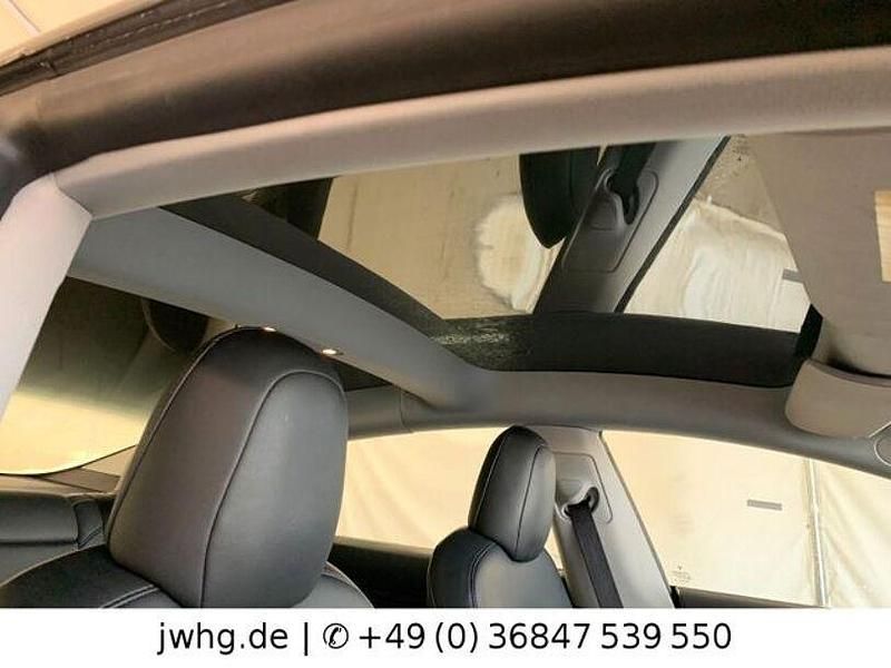 Gebraucht Tesla Model 3 Performance 377 kW (513 PS) 2021 Grau Limousine