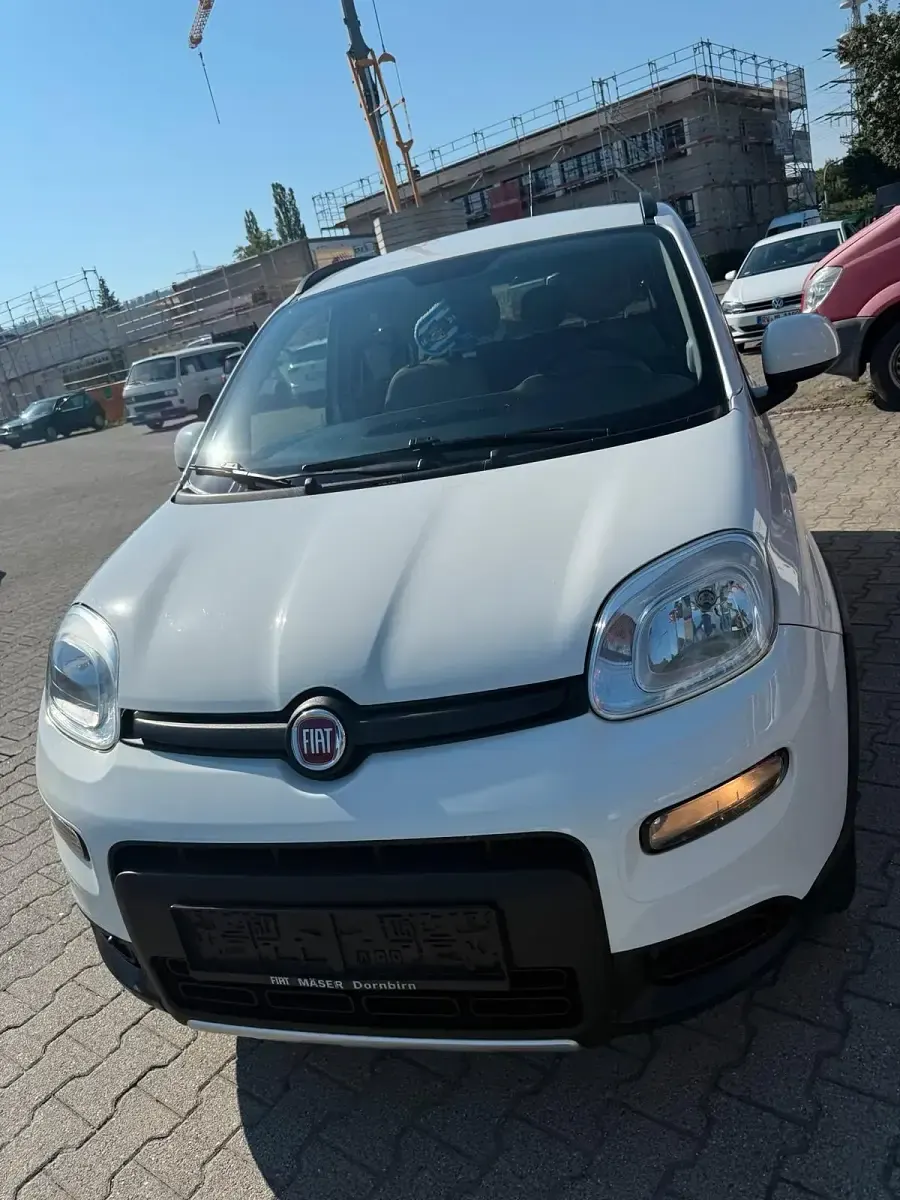 Gebraucht Fiat Panda 4x4 85 PS (62 kW) 2013 Weiß Kleinwagen